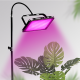 Фитолампа для растений Florel подвесная 300 Вт 216 LED